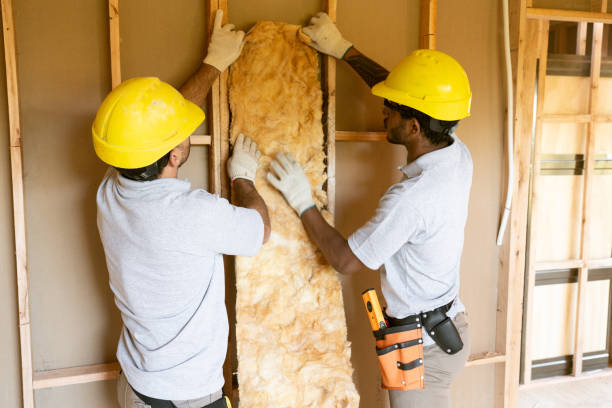 Eco-Friendly or Green Insulation Solutions in Harvey, IL